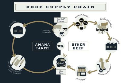 Supply Chain Model 1